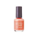 pa(ピーエー) ワンダーネイル RWN-13 (10mL)