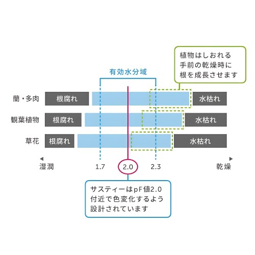 SUStee 水やりチェッカー Sサイズ ホワイト 5本パック