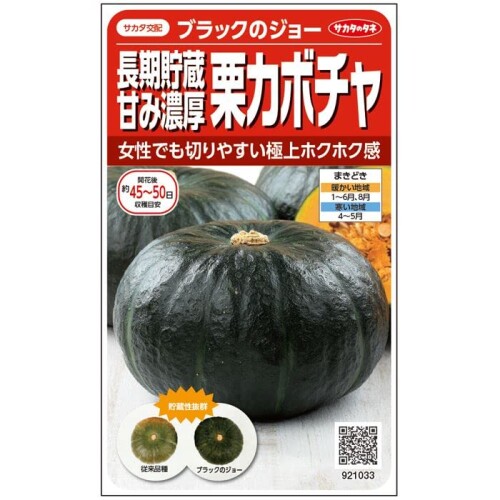 サカタのタネ 実咲野菜1033 カボチャ 長期貯蔵甘み濃厚栗カボチャ ブラックのジョー