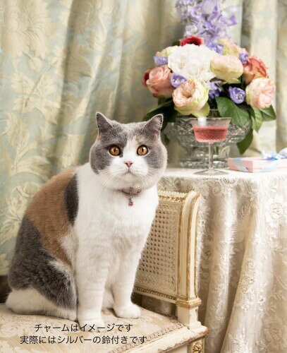 CHESHIRE＆WAIN 猫 首輪 ラージサイズ Rococoシリーズ PetalPink