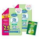 ライオン 泡タイプ ペットキレイ 肌ケア 泡リンスインシャンプー つめかえ大 450ml×2個セット 歯みがきシート付き LIONPET