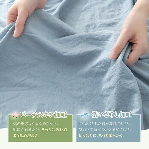 サンプル画像3