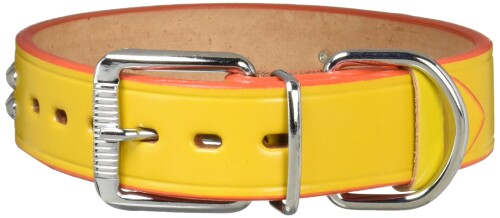 ONS �ջ����ն���ʿ���� #36 �� (�緿��)