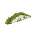 東京堂(Tokyodo) ディスプレイ アレンジベース モス白樺ベースM 約W36×約D8×約H10cm 1入 FZ000090-zzz