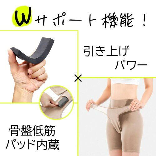 アルファックス 骨盤底筋サポーター スパッツ型 骨盤用 サポートベルト ベージュ L...