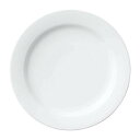 Noritake ノリタケ プレート 27cm アークティックホワイト 電子レンジ対応 食洗器対応 1枚 白 ファインポーセレン(ホワイト) 91520/400...