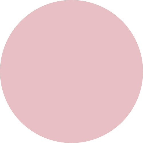 PREANFA (プリアンファ) PREGEL Muse カラージェル 桜の片想い323 3g PGU-M323 ジェルネイル mannishboy-24348659 マニッシュボーイ サンプル画像3