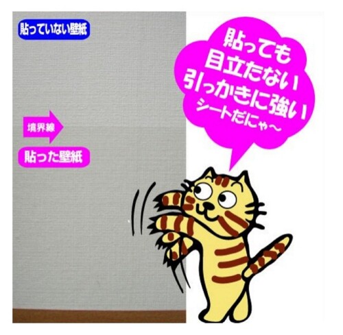 PETP02SS��30cm���ޤȤ��ɻߥ�����S