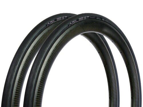 2本セット パナレーサー(Panaracer) アジリスト FAST TLR 700×30C チューブレスレディ 黒 F730TR-AGF-B-2P