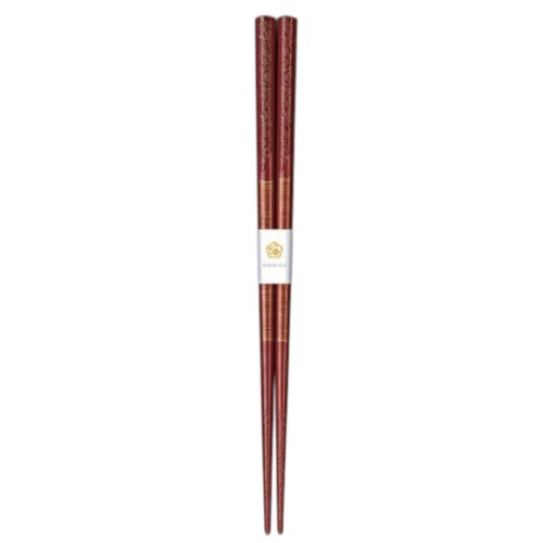 J-kitchens ひとそろえ 箸 10膳セット ( chopsticks set お箸 セット ) まとめ買い...
