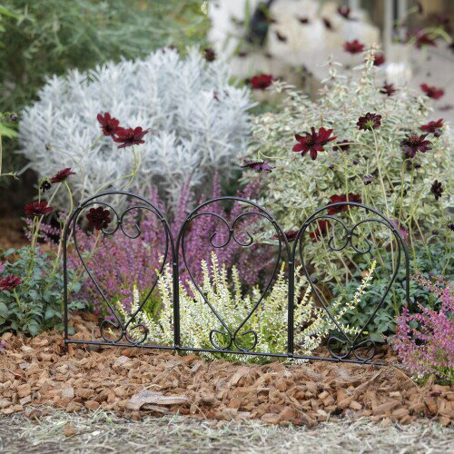 �������硼 �ե����ťե��� �ϡ��� ���ŤĤ���� �������