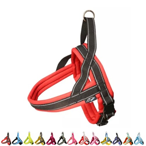 Harness Leash - Hakusan(ハクサン) ラビットハーネス (サイズ2, レッド×ブラック)