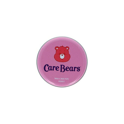 サンスター文具(Sun-Star Stationery) ケアベア グッズ 付箋 ケース付き 缶入り ブ...