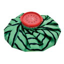 スイカ アイスバッグ (M) 氷嚢 氷のう GREEN 約Φ220 パッケージ /W105×D25×H210mm A690GR