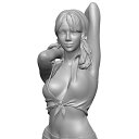 ソルモデル 1/12 ボーイレッグ姿のジイナ レジンキット C705
