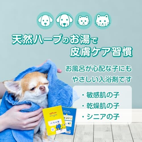 PAWKAMPO�ʥѥ�����ݡ��˸�ǭ�������/�Х��Хå���/�Ҹ�ǭ�����˥��ޤǡ��˥�������Ȥ��������ݼ�����������/�ڥåȤˤ��´���CICA�۹�/�ҥ塼�ޥ󥰥졼�ɤ��ʼ����/����ʤνð�