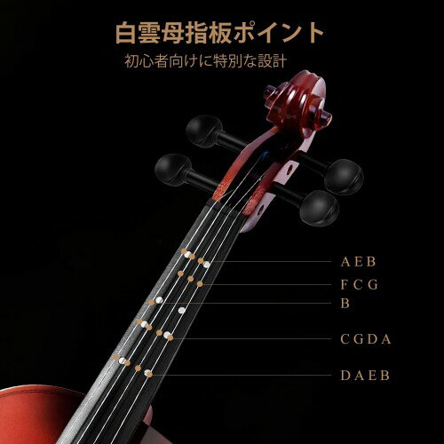 Eastar �Х������ �鿴�� ���ĥޡ��� ���ץ롼���� �鿴�ԥ��å� EVA-2 (4/4)