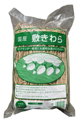 敷きわら 500g 家庭園芸用 冬の保湿 夏の乾燥防止 日本製 水勘製簾所 冬から春は霜よけ・凍結防止、果実の汚れ防止、夏から秋は地温の上がりすぎや乾燥を防ぎます。 雨のはね上がりによる病気の発生予防・雑草の抑制。使用後は細かく切って土に混ぜると有機肥料になります。 雨のはね上がりによる病気の発生予防・雑草の抑制。使用後は細かく切って土に混ぜると有機肥料になります。 天然わらが霜から苗や樹木を守ります。通気性や保水性がよく、乾燥を防ぎます。天然素材です。 プランター、お庭での植物栽培にご利用ください。 商品紹介 天然の稲わらを使いやすい量(500g)にまとめた敷きわらです。家庭菜園から小規模農園まで、幅広い用途でご使用いただけます。 使用方法 冬から春は地面に敷いて霜よけ ■凍結防止、果実の汚れ防止、夏から秋は地温の上がりすぎや乾燥を防ぎます。使用後は細かく切って土に混ぜると有機肥料になります。プランター、お庭での植物栽培にご利用ください。 商品コード20081569951商品名敷きわら 500g 家庭園芸用 冬の保湿 夏の乾燥防止 日本製 水勘製簾所型番4978860056115カラーわら※他モールでも併売しているため、タイミングによって在庫切れの可能性がございます。その際は、別途ご連絡させていただきます。※他モールでも併売しているため、タイミングによって在庫切れの可能性がございます。その際は、別途ご連絡させていただきます。