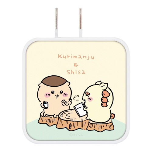 グルマンディーズ ちいかわ USB/USB Type-C ACアダプタ
