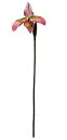 アスカ 造花 パフィオ モーブグリーン 全長:約43cm、花径:約12cm A-34579-055G