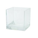 HAMMER GLASS(ハンマーグラス) 花瓶 キューブ W8 H8 クリア 割れない ポリカーボネート 2300176