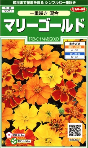 サカタのタネ 実咲花6841 マリーゴールド一重咲き混合 00906841