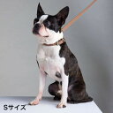 ペティオ (Petio) フラッシュリード レザーブラウン 犬 S サイズ