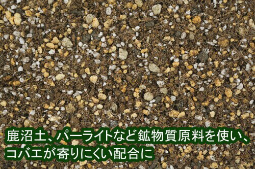 花ごころ 三つ星 室内観葉植物の土 5L×2袋