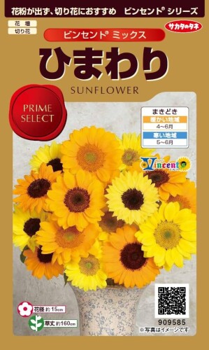 サカタのタネ 実咲花9585 ヒマワリ ビンセントミックス