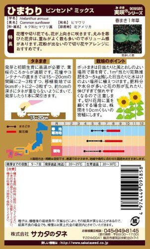 サカタのタネ 実咲花9585 ヒマワリ ビンセントミックス