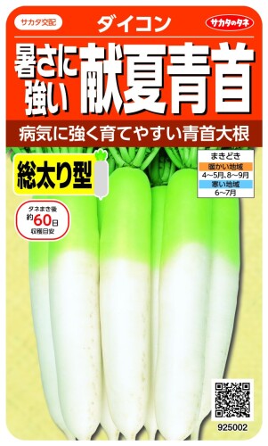 サカタのタネ 実咲野菜5002 夏秋どり青首大根 献夏青首 00925002