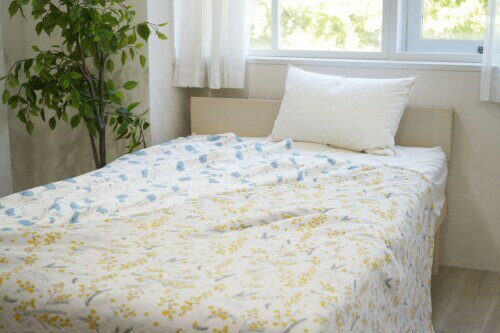 �ץ졼�꡼�ɥå� Taoyaka �ͽſ��������ϡ��ե��å� TAO-100K YE