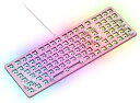Glorious PC Gaming Race GMMK 2 ベアボーン ゲーミング キーボード ANSI 0.96 ピンク