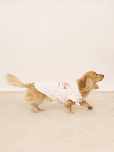 ���å����ե�ɥ��������������ե���åե�ץ륪���С� PAGG252708PNKDM