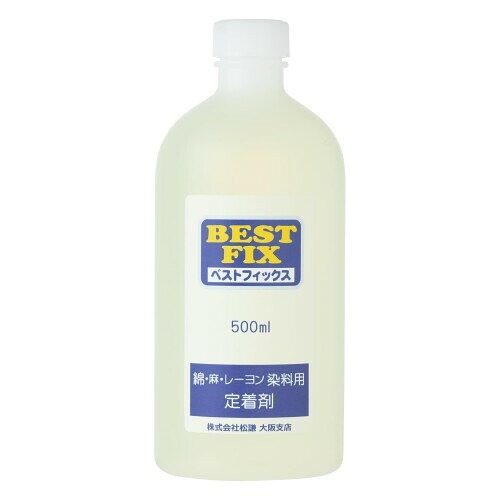 ベストカラー(Best Color) 直接染料用定着剤 ベストフィックス大容量 BB80