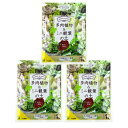 花ごころ 多肉植物&ミニ観葉の土 1L×3袋