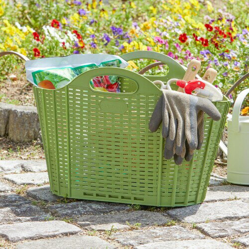 �������� (Seiei) �����ǥ˥��� ����������