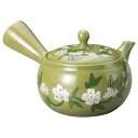 山下工芸 淡緑桜かご網急須 280cc 13042450