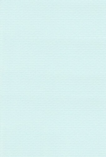 Rakuten - エスケント 色画用紙 リブカラー 八切 スカイブルー 100枚 26058100