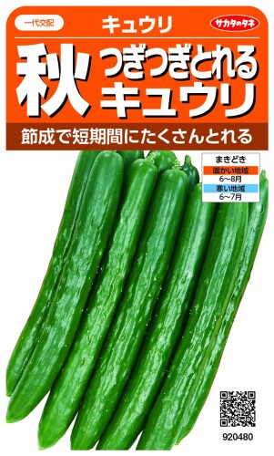サカタのタネ 秋つぎつぎとれるキュウリ 種 秋にたくさん収穫できる 商品コード20082302319商品名サカタのタネ 秋つぎつぎとれるキュウリカラー不明※他モールでも併売しているため、タイミングによって在庫切れの可能性がございます。その際は、別途ご連絡させていただきます。※他モールでも併売しているため、タイミングによって在庫切れの可能性がございます。その際は、別途ご連絡させていただきます。