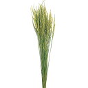 東京堂 ドライフラワー 風の花 稲穂 ナチュラル 約70cm 70G DN000010-zzz
