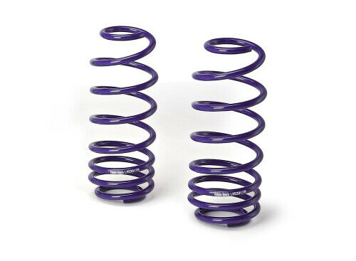 KYB (カヤバ) スプリング Lowfer Sports LHS セット(リア2本) LHS1404R 適合車種:トッポBJ