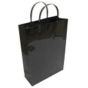 エヒメ紙工 ギフトバッグ ラミネート A4サイズ 黒 10枚パック PPA4-BL-10P