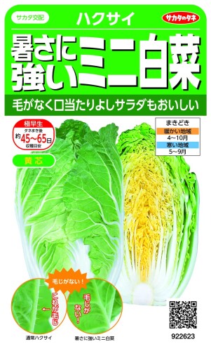 サカタのタネ 暑さに強いミニ白菜 ハクサイ