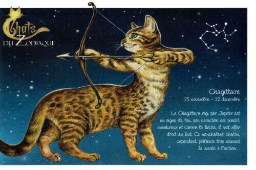 セブリーヌ Chagittaire いて座 猫 ネコ ねこ はがき ハガキ DU ZODIAQUE 十二星座 射手座 サジタリウス 94169PC