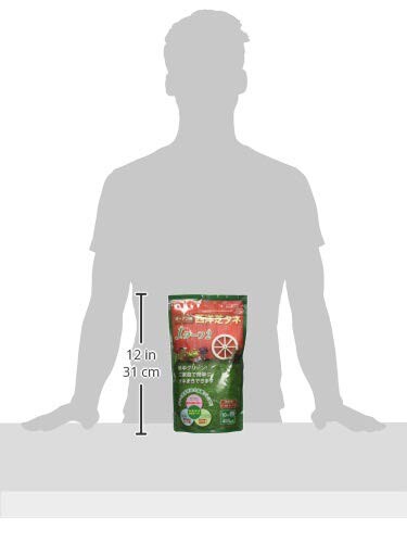 タキイ種苗 種 JターフII 400g