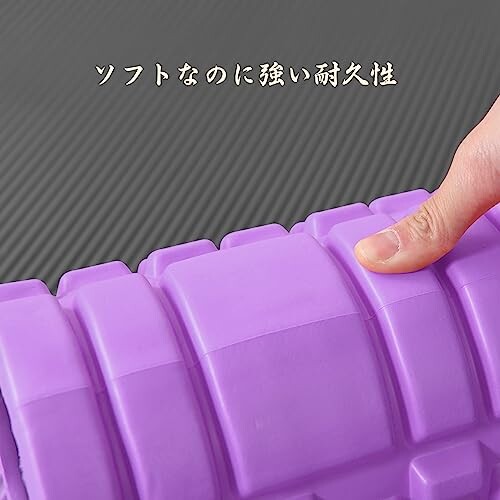 �ե���������顼 �����꡼�� 300KG�Ѳٽ� �ޥå����������顼 ��������顼 ���å� ��Ǽ���դ� �鿴�� Ķ���� ����ȥ졼�˥� �����ۤ��� �襬�ݡ��� ���ݡ��� ��� ��