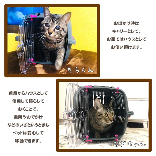 �ե����ץ饹�� �����å� 10 73043099 �������Բ�