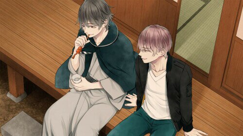 贄の町 いろむすび - Switch 2