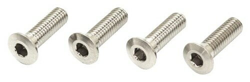 INFINITY M3x10mm�����󥹥��إåɥ�����塼 (4��) B01310ST